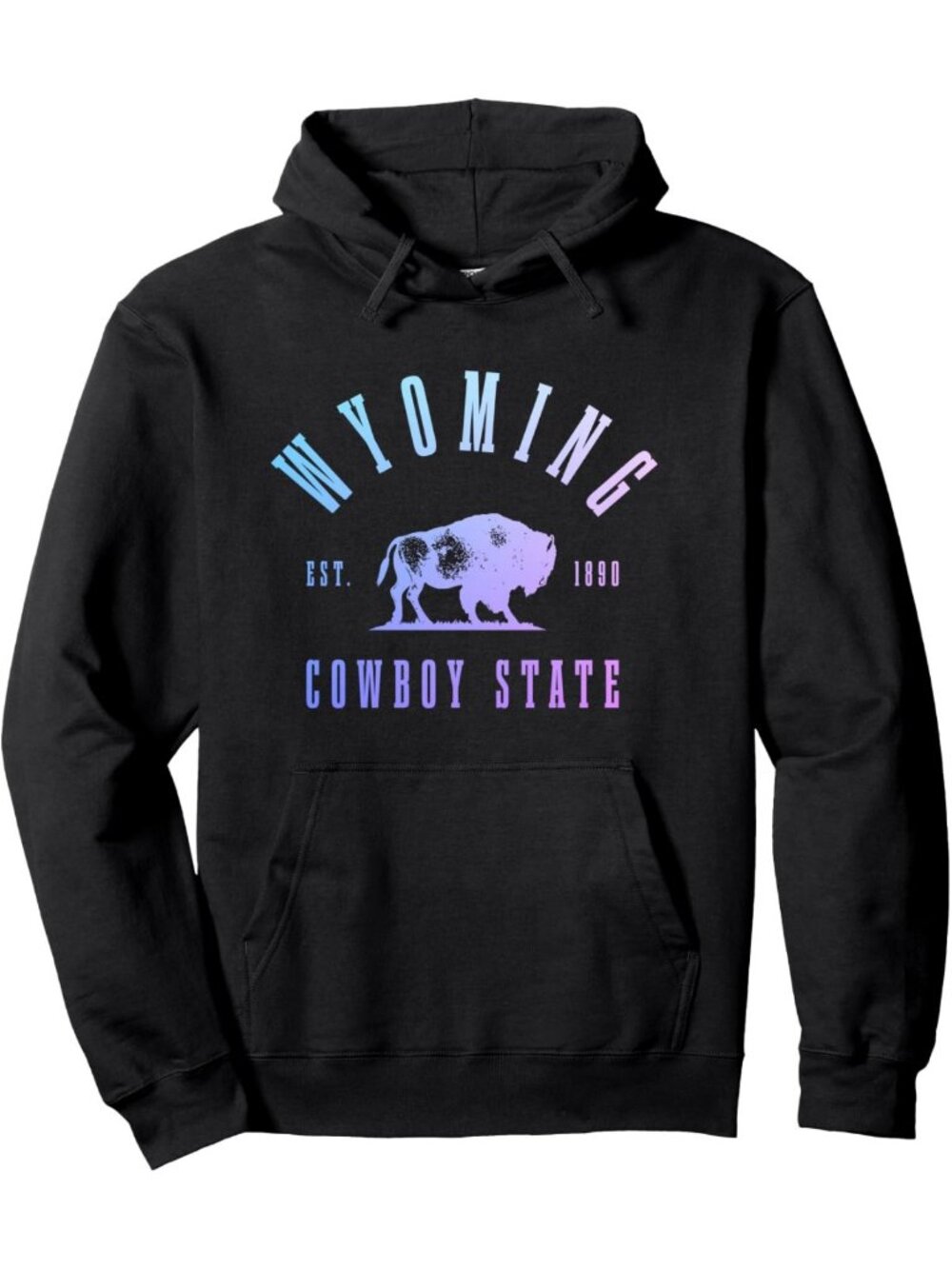 Vintage Wyoming Bison Pullover Hoodie | 1890 Cowboy State Pride Sweatshirt